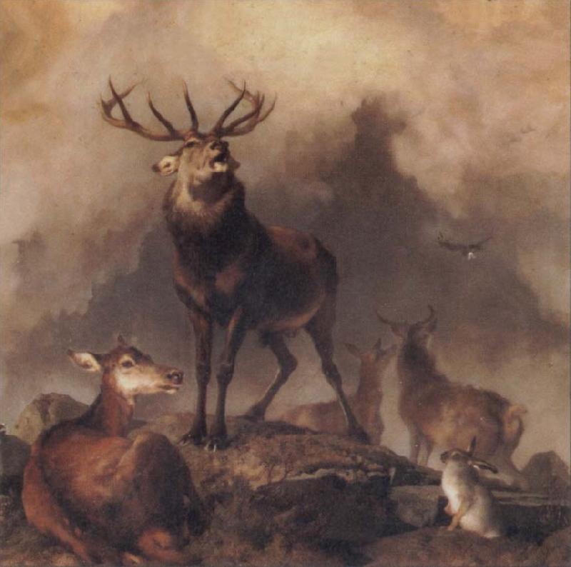 Sir Edwin Landseer A Majestic Gathering oil painting picture